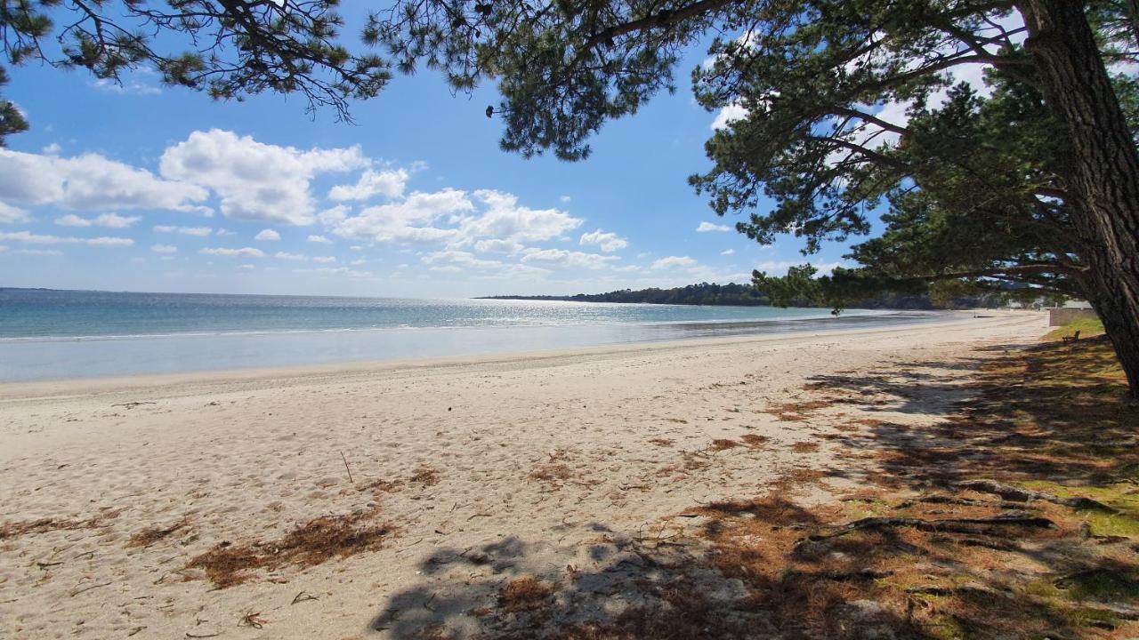 Vacances O Cap Coz - Jardin Vue Mer Et Piscine - Residence Cap Azur Fouesnant Exteriör bild