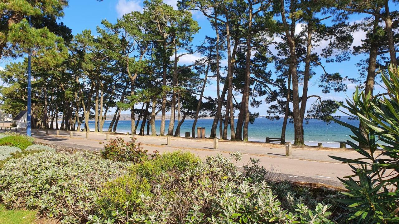 Vacances O Cap Coz - Jardin Vue Mer Et Piscine - Residence Cap Azur Fouesnant Exteriör bild