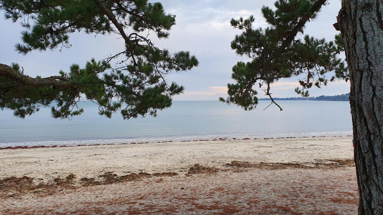 Vacances O Cap Coz - Jardin Vue Mer Et Piscine - Residence Cap Azur Fouesnant Exteriör bild